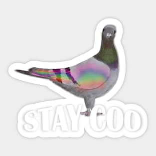 Stay Coo, says the Pigeon Sticker